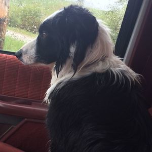 Meet your Posher, Carla